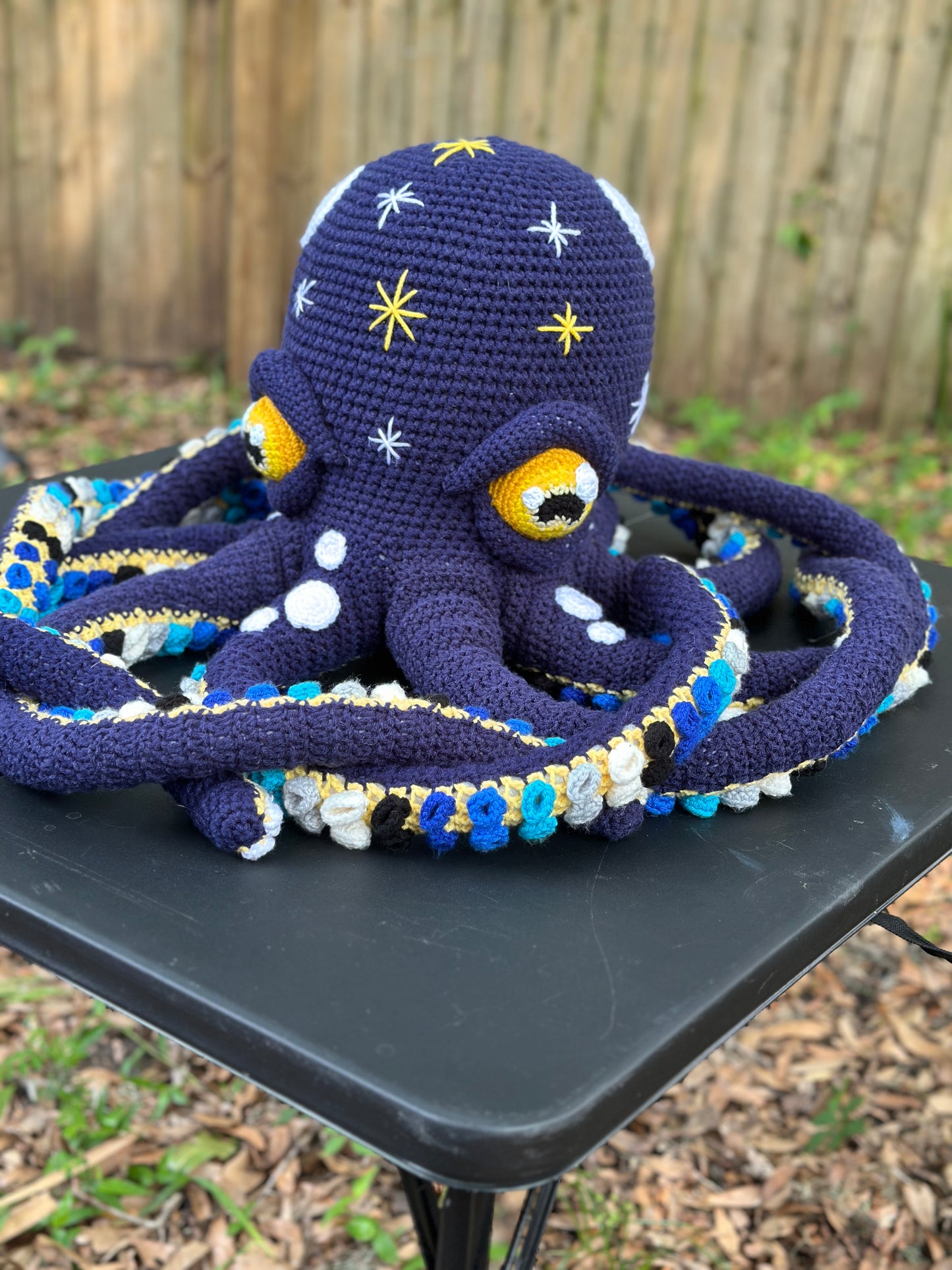 Giant Octopus