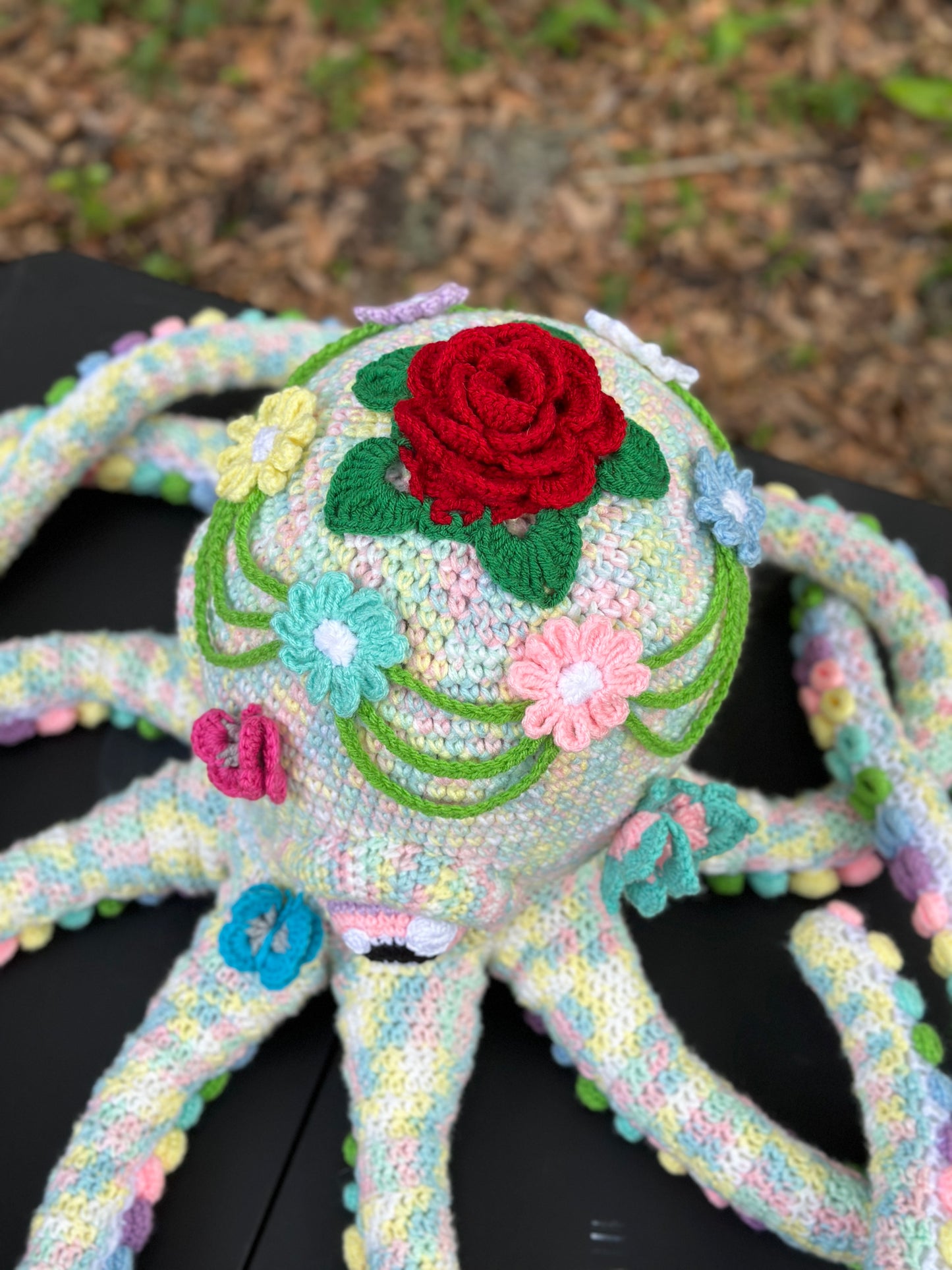 Giant Octopus