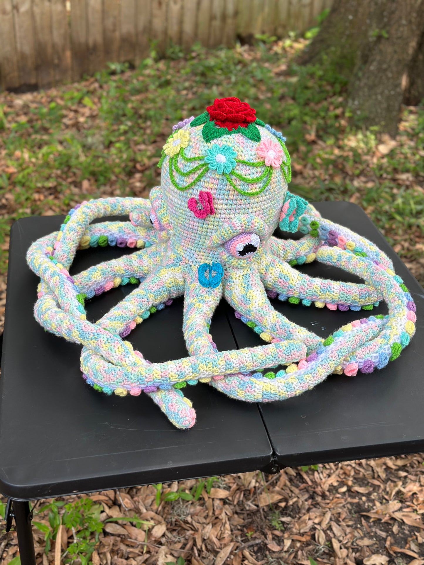 Giant Octopus
