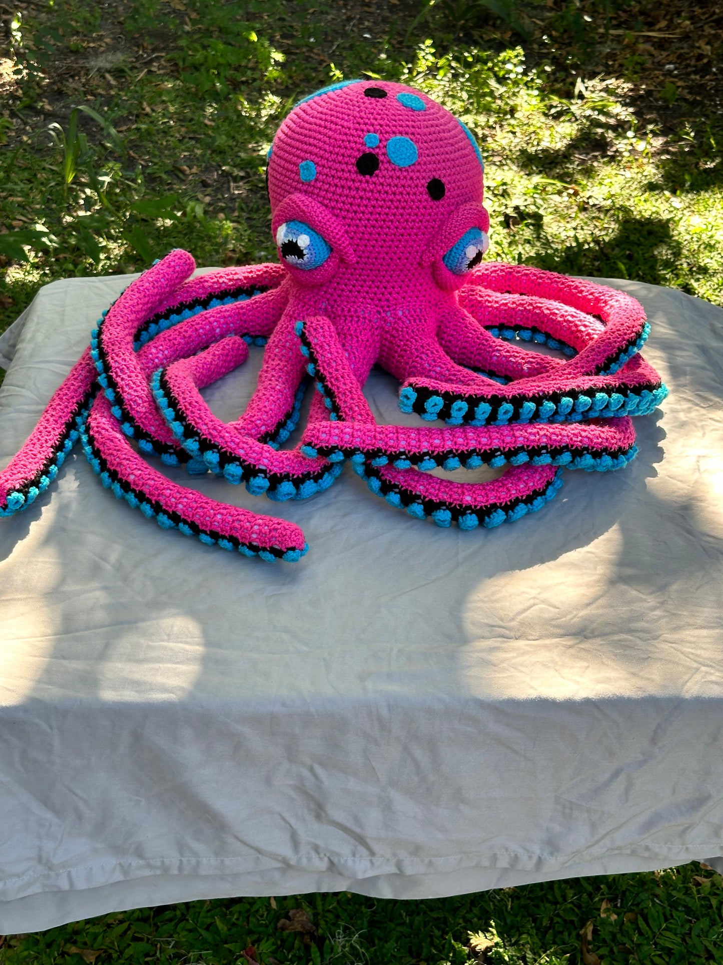 Giant Octopus
