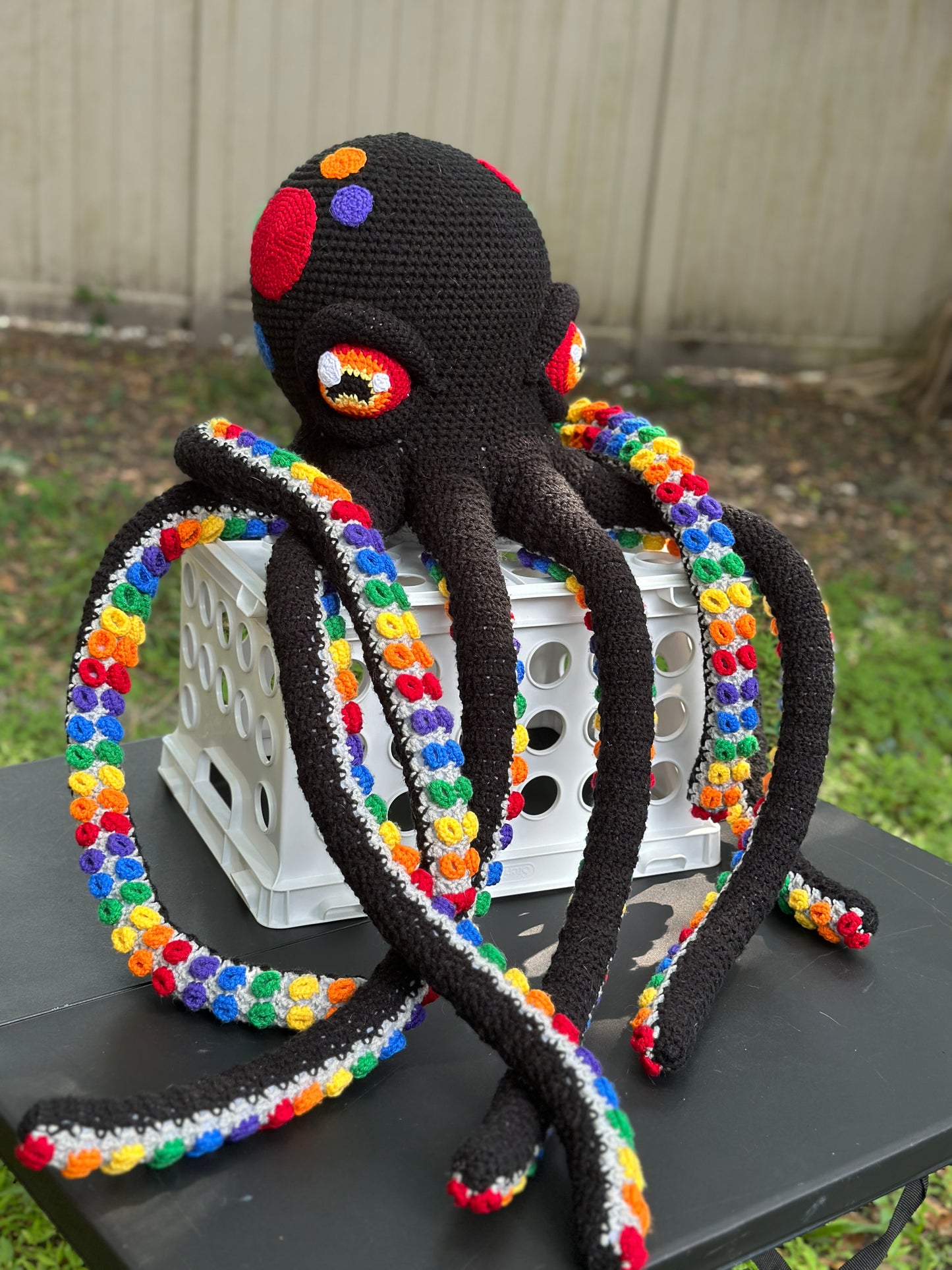Giant Octopus