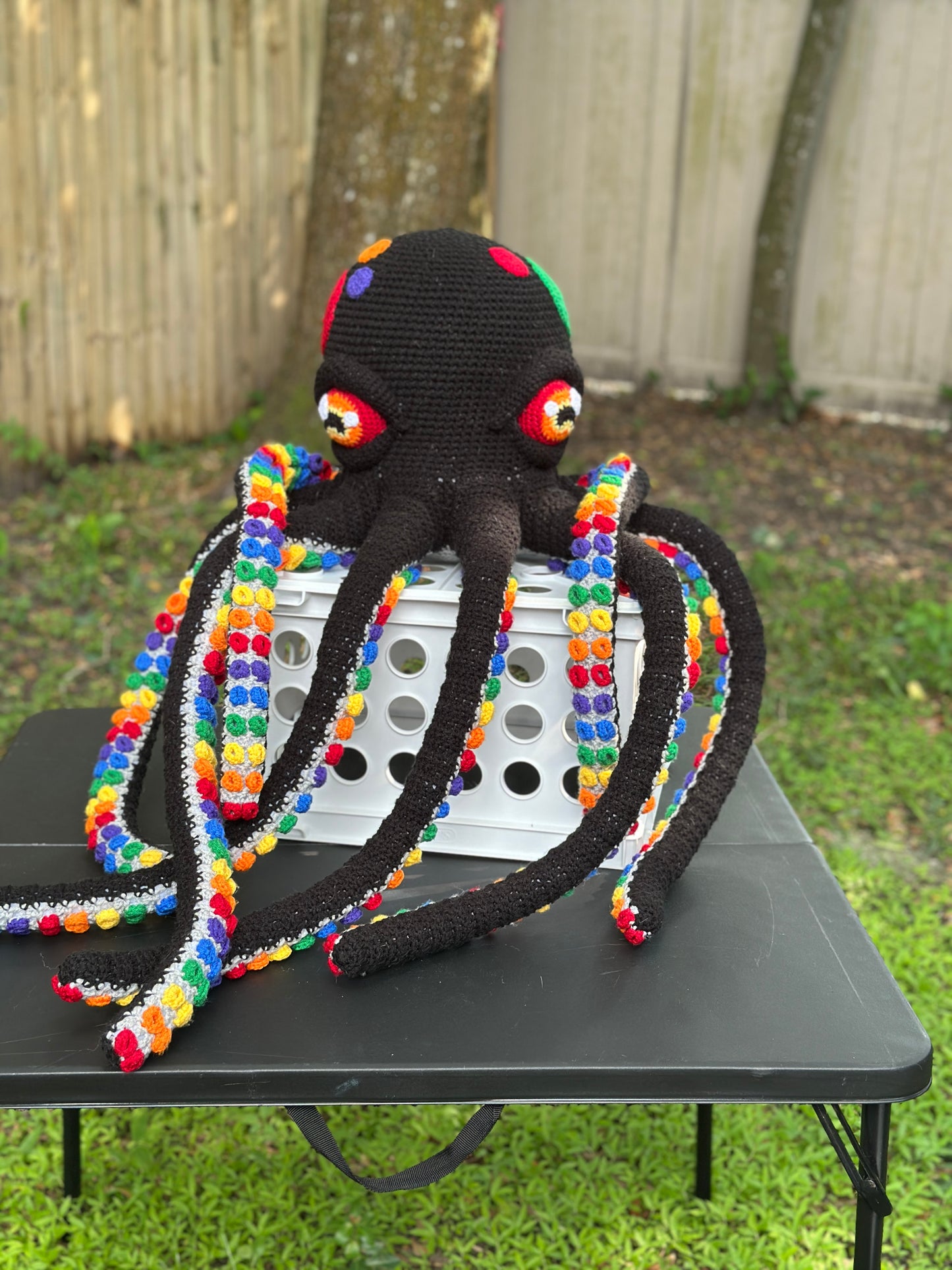 Giant Octopus