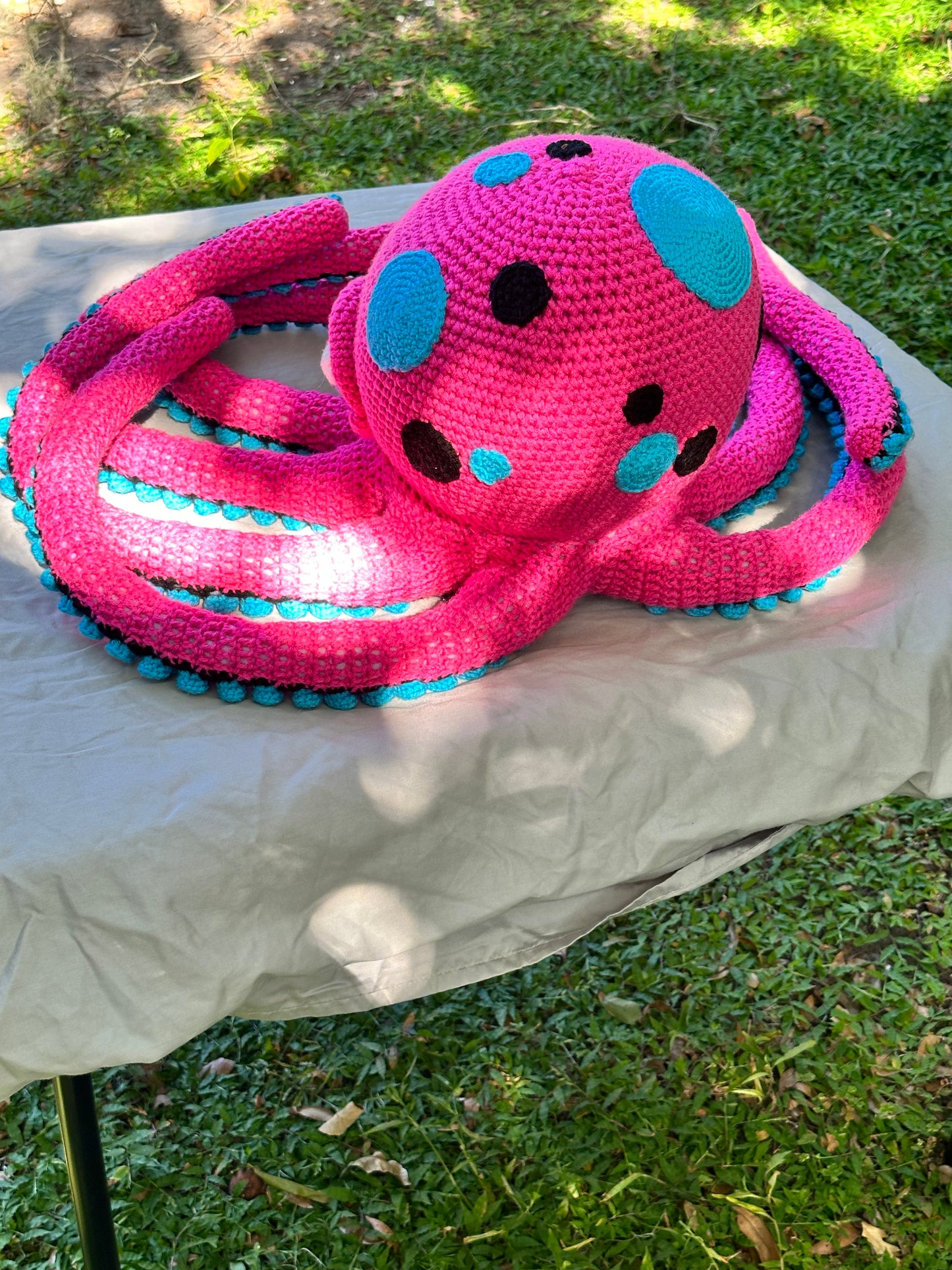 Giant Octopus
