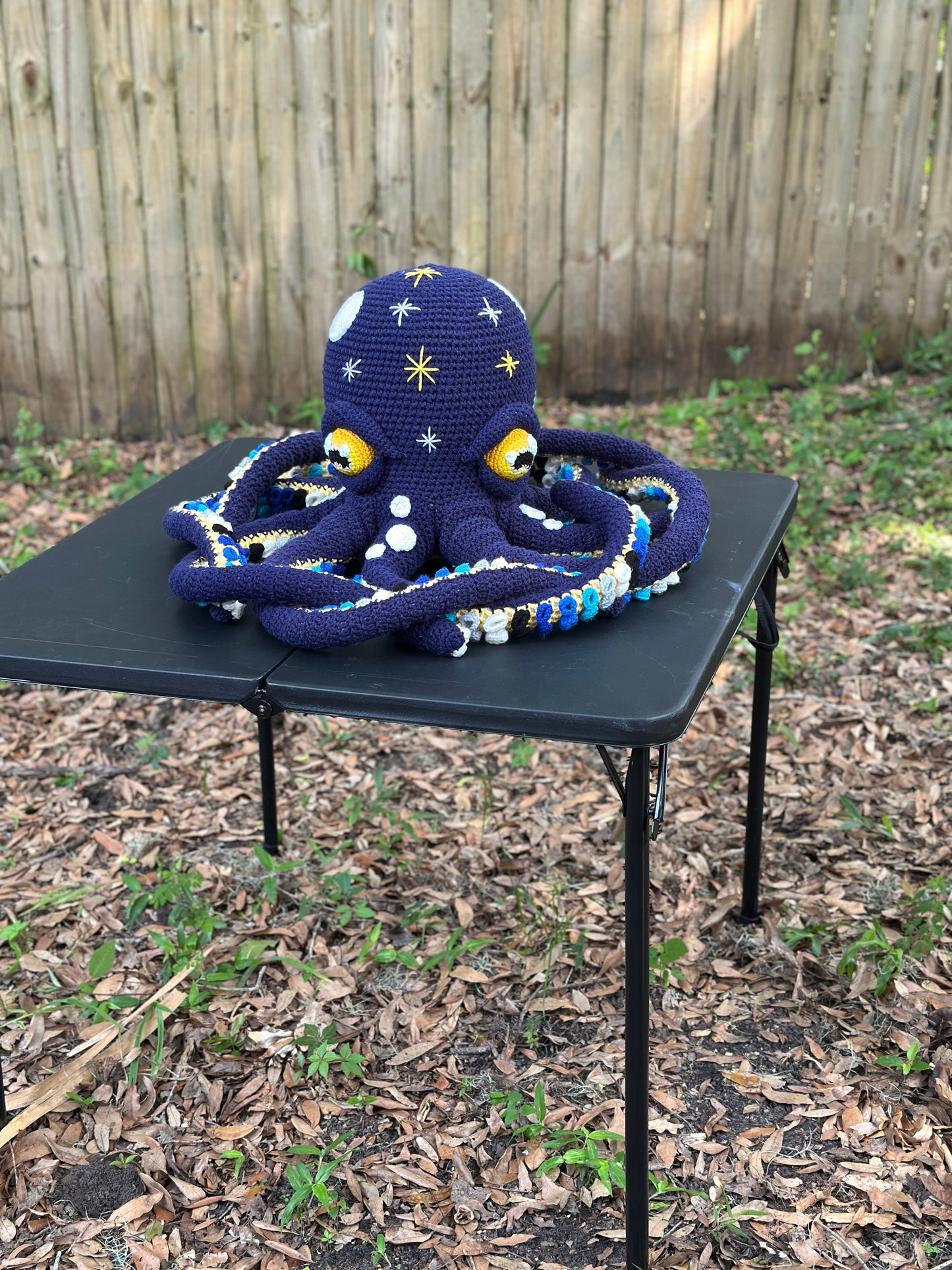 Giant Octopus